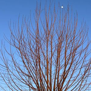 逃离喧嚣的夏日