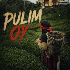 Pulim Oy