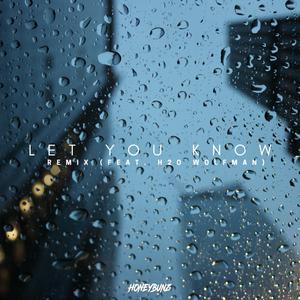 Let You Know (Remix) (feat. H2Owolfman)