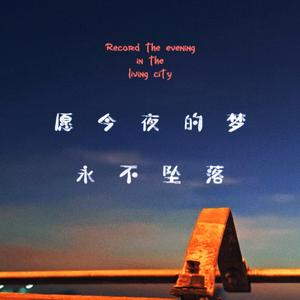 愿今夜的梦永不坠落