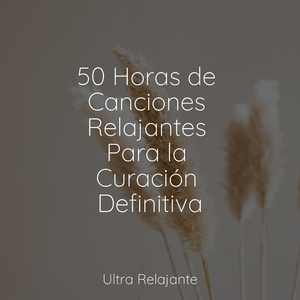 Memorias Olvidadas