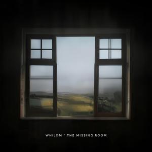 The Missing Room
