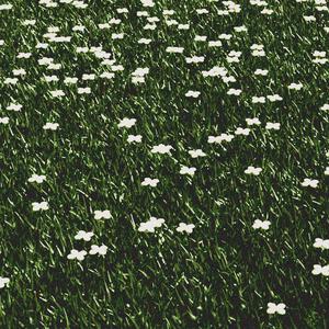 Nu (feat. Javier Santiago, Bubby Lewis & Takoda)