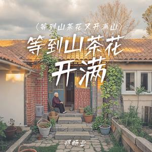 等到山茶花开满(等到山茶花又开满山)