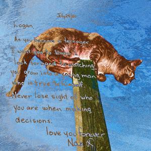 Snow falling fast and silent