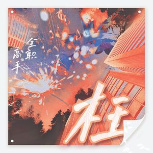 《枉》——记全职高手张佳乐