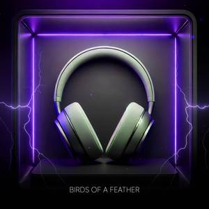 BIRDS OF A FEATHER (8D Audio)