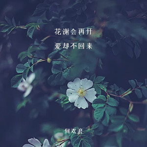 花谢会再开爱却不回来