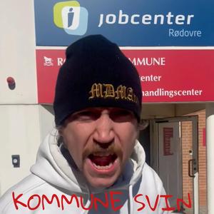 Kommune Svin