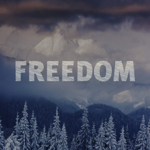 Freedom (Barakske Edit)