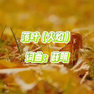 落叶（火焰1）.wav