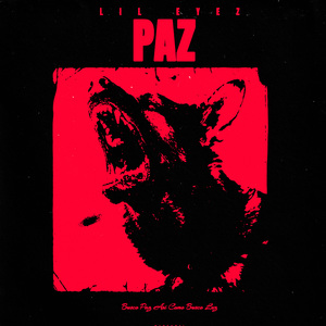 PAZ (REMIX)