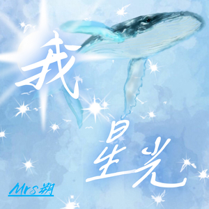 我·星光 伴奏版