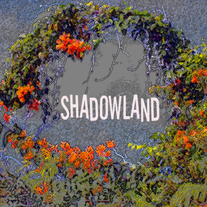 Bill King - Shadowland Master 1.1