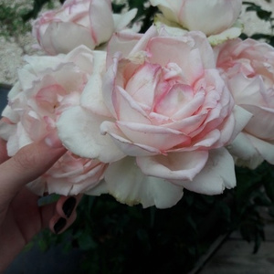 nuit (prod. yung skah)