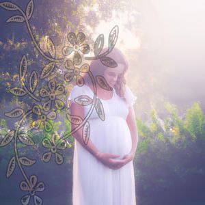 Expectant Stillness