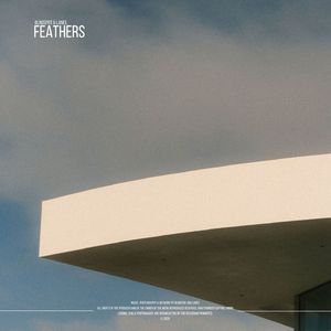 Feathers