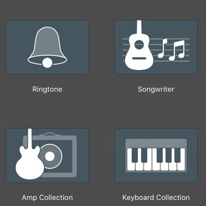 Project 25.1 Blank Chorus