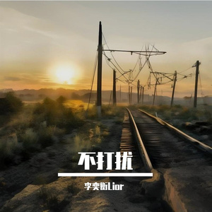 不打扰