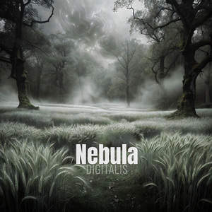 Nebula
