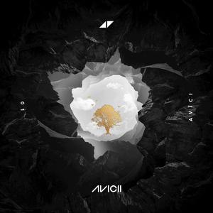 Avicii - Without You (feat. Vargas & Lagola)（翻自 Avicii）