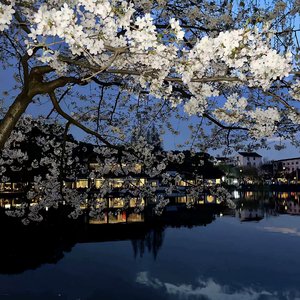 荒屿