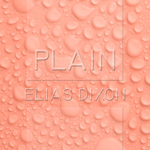 Plain