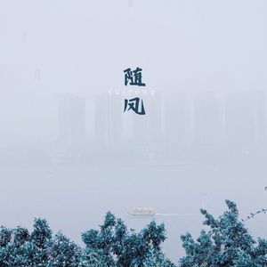 随风