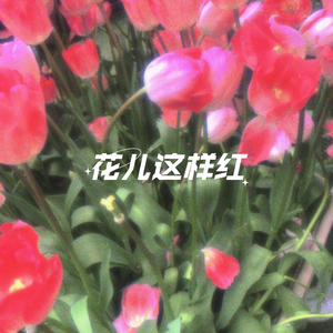 你与月光同罪