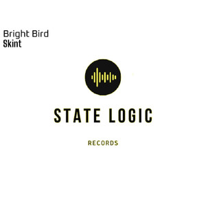 Skint (Original Mix)