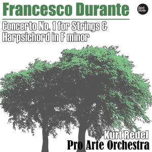 Concerto No.1 for Strings & Harpsichord in F Minor: I. Un poco andante