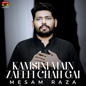 Kamsini Main Zaeefi Chah Gai