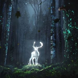 化身孤岛的鲸-雨中愁