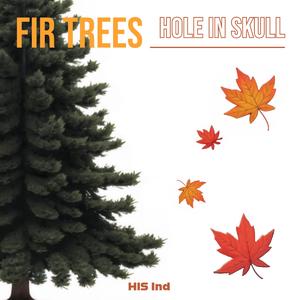 Fir Trees