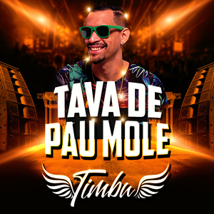 Tava de Pau Mole