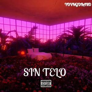 SIN TELO