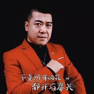 不是所有的花都开在春天 (DJ版伴奏)