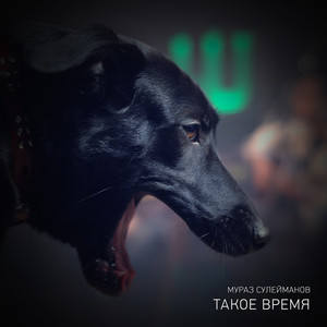 Такое время