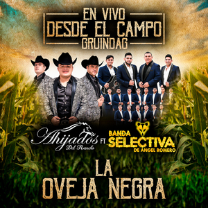 La Oveja Negra (En Vivo)