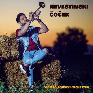 Nevestinski Cocek