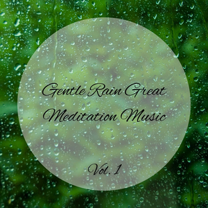 Forest Rain Thunderstorm Sleep Sound