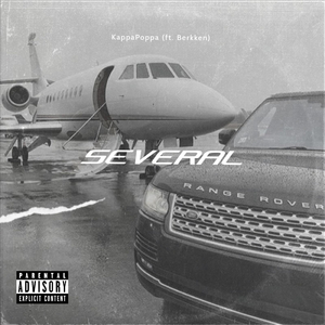 Several (feat. Berkken)