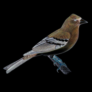 Ohh Synthx (Original Mix)