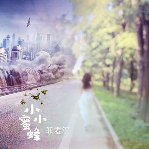 小小蜜蜂