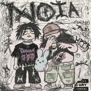 NOIA