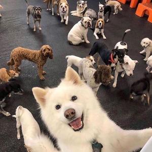 As long as you love me (Cover. Justin Bieber)