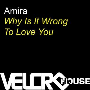 Why Is It Wrong to Love You (Calipso Pays His Bills Mix)