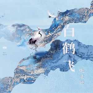 白鹤飞