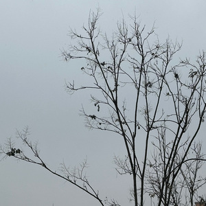 等到烟火清凉（填词版）