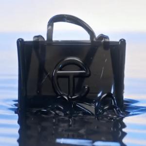 all my friends on t & e like a telfar bag